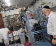 כאן תוכלו להגיש בקשה לקבלת תווי מזון