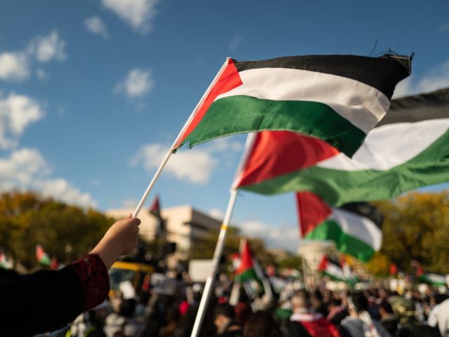 אילוסטרציה שאטרסטוק