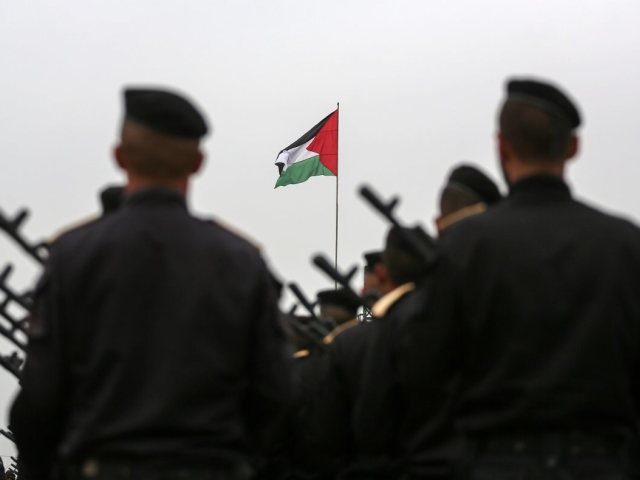 כח פלסטיני | אילוסטרציה shutterstock