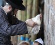 צמים ביום כיפור? הנה מספר טיפים ועצות עבורכם על מנת לעבור את הצום בשלום