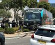 "ילדים קופצים לגלגלים": האם מהירות הנסיעה ברובע ז' תרד?