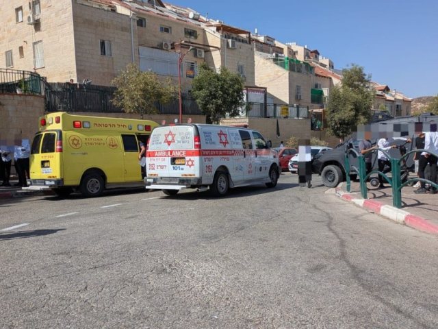 זירת השריפה בתל ציון | מד"א