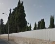 העצים בבית העלמין סנהדריה. צילום: Google Street View