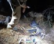 6 חשודים בגניבת עתיקות מאתר עתיקות הסמוך ליישוב נחלה