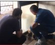 הנאשם ברצח מתוכנן של אמו ברחובות- התגורר לאחרונה בשכירות בנס ציונה.