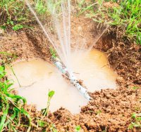 אילוסטרציה shutterstock