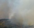 שריפות יער השתוללו ברחבי העיר: הושגה שליטה והתושבים שבו לבתיהם 