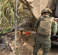 דוברות המשטרה