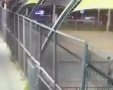 החוטף ויהלי בשולי מגרש המשחקים | רשתות חברתיות