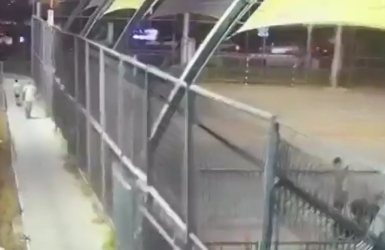 החוטף ויהלי בשולי מגרש המשחקים | רשתות חברתיות