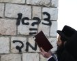 דיוויד כהן 156 / Shutterstock.com