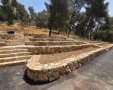 יער הר נוף המשודרג | קק"ל / איילת עקיבא