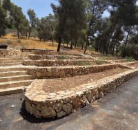 יער הר נוף המשודרג | קק"ל / איילת עקיבא