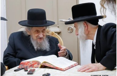 מרן הגר"ד לנדו מבקר ומחזק את האדמו"ר המותקף | צילום: אלעזר פיינשטיין