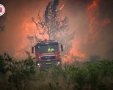 גלים של אש: מהשריפה בלטרון. צילום: קובי ריכטר, כבאות והצלה לישראל