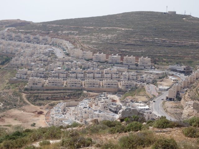 השכונה החרדית בגבעת זאב | מיכאל יעקובסון ויקיפדיה