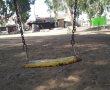 תושבי גן יבנה בקריאה לשיקום גן האקליפטוס
