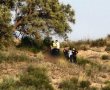 טרגדיה באשדוד: צעיר נמצא ללא רוח חיים בדיונה בעיר